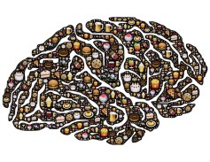 junk-food-brain