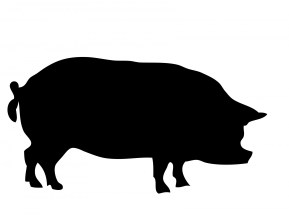pig-silhouette