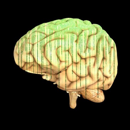 the brain with a matrix-style overlay