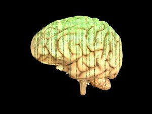 the brain with a matrix-style overlay